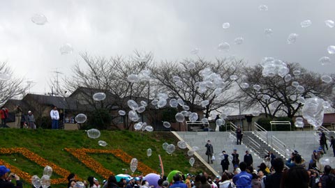 水辺再生100プラン｜バルーンリリース